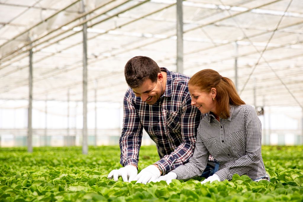 Rekrutacja pracowników do rolnictwa i branży agro