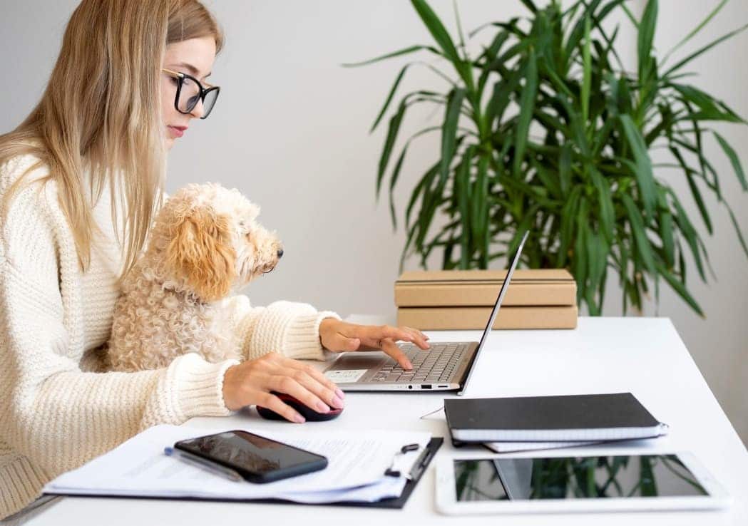 The photo shows a woman working on a laptop at a desk. She is wearing a white sweater and a small dog is sitting on her lap. There are various items on the desk, including a smartphone, a clipboard with papers, a notebook and a tablet. In the background, there is a green plant and two cardboard boxes.