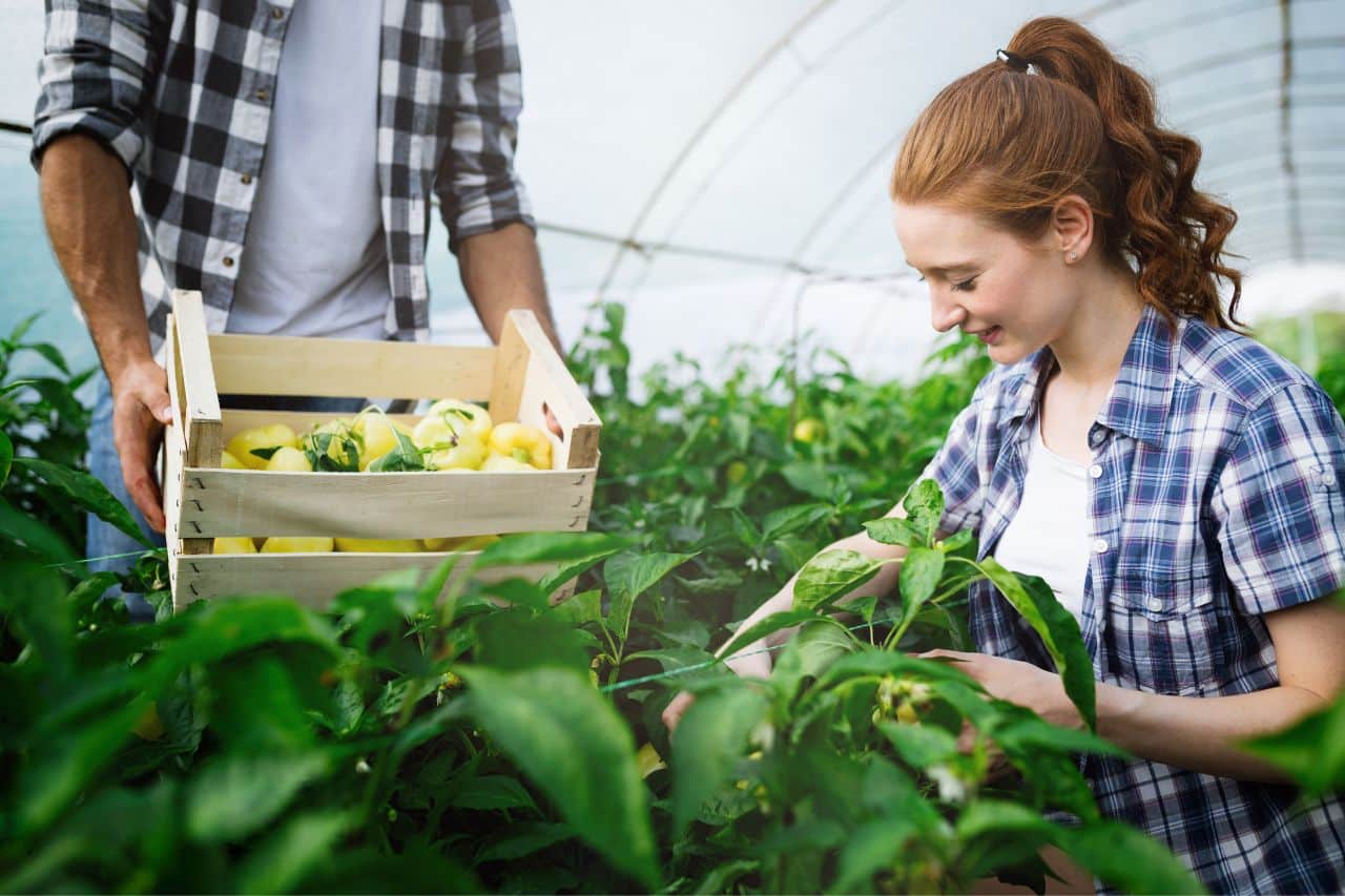 femeie care lucrează în agro-industrie