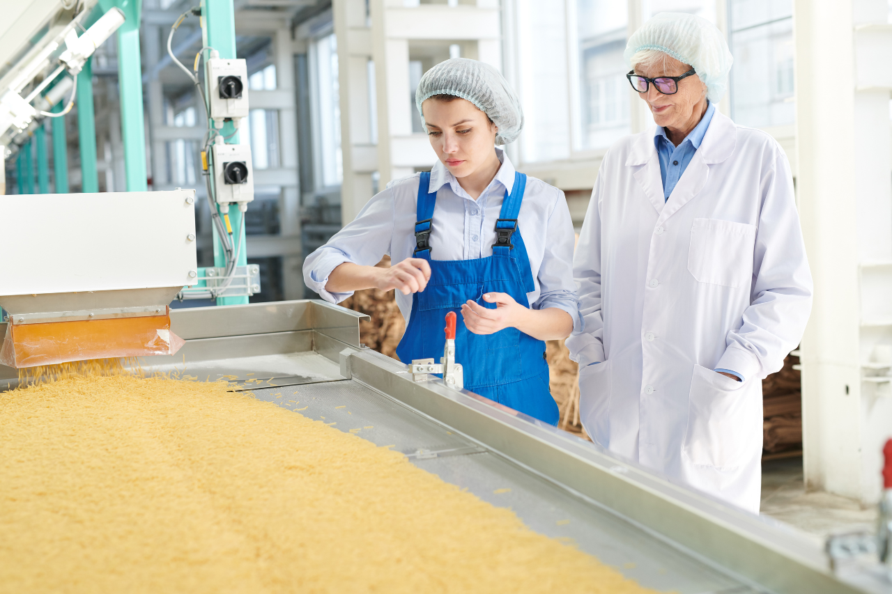 Asigurarea continuității producției în industria alimentară